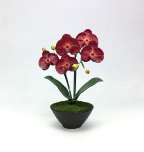 กระถางดอกไม้ประดิษฐ์ตกแต่งบ้าน ดอกกล้วยไม้พร้อมกระถาง