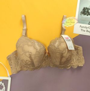 Plus Size Women Bra Wired Lace [Lily Bra Shop]