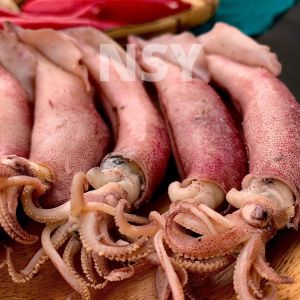 Sotong Kering  Cumi Halal Grade AAA/ Dried Squid Grade AAA
