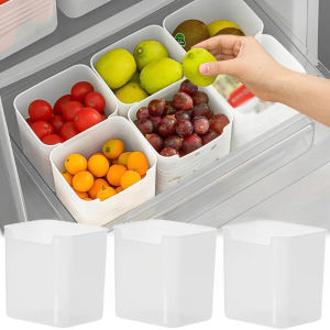 Refrigerator Fruits Keep Fresh Storage Box Fridge Food Storage Container Household Freezer Side Door Kitchen Food Preservation Box