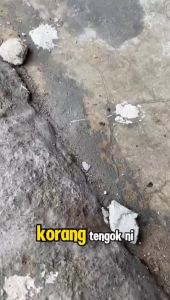 Original Dr Settle Roach & Ant Umpan (30ML) Semut & Lipas roach & Ant bait.RoachBuster Lipas