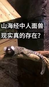 【Ship in 24H】山海经 全18卷彩图无删减『一部集地理志、方物志、民俗志于一体的百科全书』原文全解 文白对照