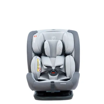 Beblum Gamma Convertible Car Seat (newborn-36kg)