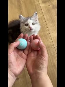 ของเล่นลูกบอลกลิ้งอัจฉริยะสำหรับแมวข้ามพรมแดน ลูกบอลบดฟัน ทนทาน ความบันเทิงด้วยตนเอง ลูกบอลไฟฟ้าสำหรับแมว