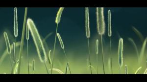 Blanket Winter Flannel Bed Sheet Coral Fleece Blanket Thickened Warm Student Dormitory Double-Sided Plush Mattress Blanket LZD