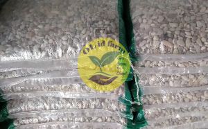 Batu pancawarna 10 kg dekorasi aquarium dan pot