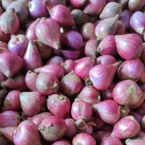 Bawang Merah Lokal Super  1kg