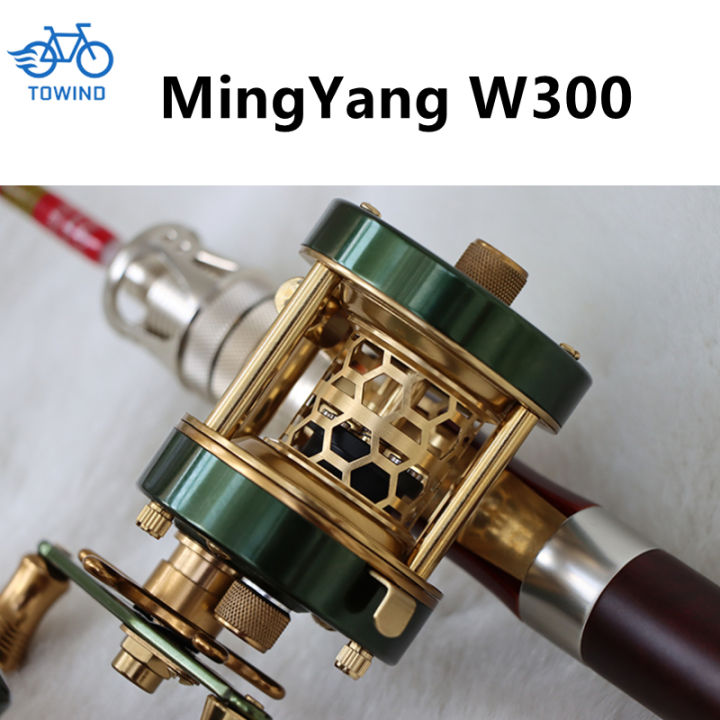 Newest Custom MingYang W300 After Modification And Custom Parts