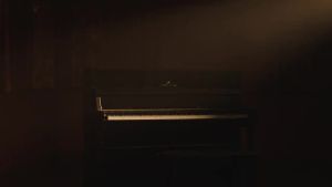 Terence Vertical Electric Piano Professional Performce 88 Key Weight Hammer Home Grading Children Beginner Introduction