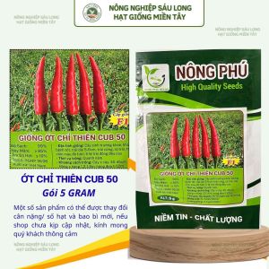 Hạt Giống Ớt Chỉ Thiên F1 CUB 50 Gói 5G – Trái Đẹp Cay Nồng Sai Trái Năng Suất Cao