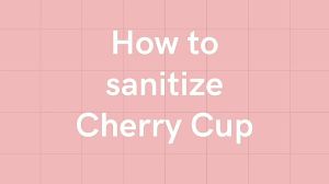 CherryMenstrualCupStarterSet-MedicalGradeSiliconeFeminineHygienePeriodCup