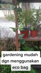 Eco bag for germinating seeds. 10 pcs