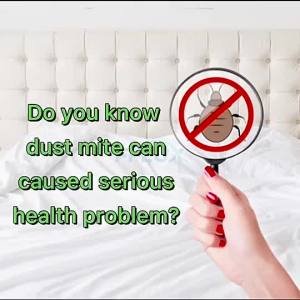 FFLUXNaturalBedBug&DustMiteControlSpray100mlTravelPackBugSprayPepijatPestControlRepellent