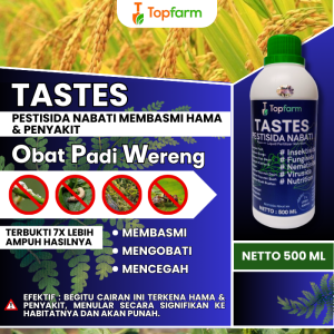Obat Semprot Buah Padi / Obat Supaya Bobot Padi Berat / Nutrisi Pengisi Bulir Padi / Obat Pelebat Buah Padi /Obat Supaya Anak Padi Banyak / Obat Padi