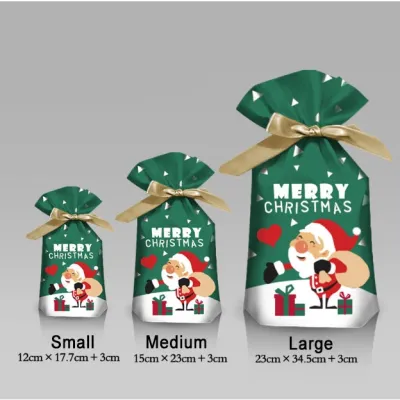 10Pcs/5pcs | Christmas Gift LOOT BAGS Candy Bag Snowflake Crisp Drawstring Bag