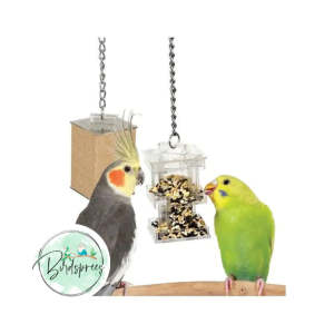 Paradise Toys Foraging Box Feeder