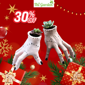 Chậu sen đá mini phong cách sáng tạo kết hợp làm giá đựng bút văn phòng Thi Garden phụ kiện trang trí sân vườn