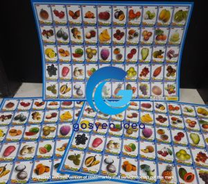 Paket Hemat 12 Poster Edukasi Buah 50 Kotak