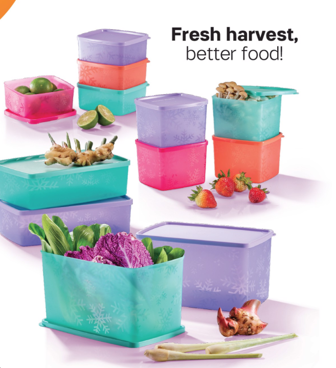 Tupperware Square Round Set 400ml/800ml/1.3L/2.8L - Fridge