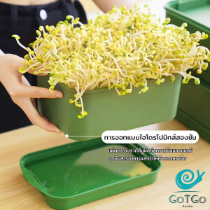 GotGo【มีสินค้าในสต๊อก】 กล่องเพาะถั่วงอก ถาดเพาะต้นอ่อน ไม่ต้องใช้ดิน นำกลับมาใช้ใหม่ได้ 1ชุด bean sprouts tray