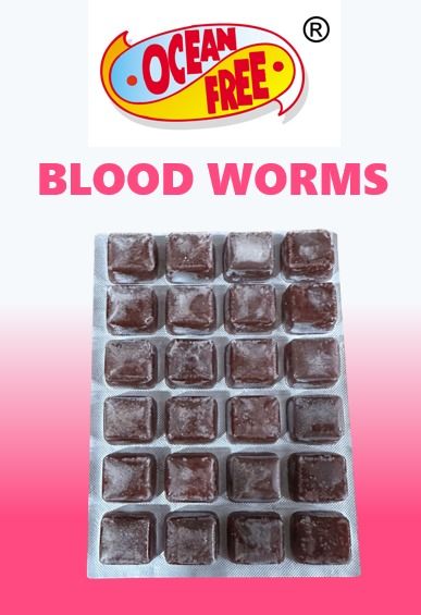 OCEAN FREE Blood Worms Frozen Pack for Fish