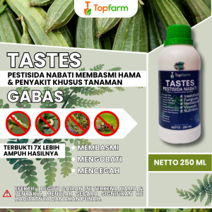 Obat Bercak Daun Gambas / Obat Hama Pada Gambas / Obat Hama Tanaman Oyong / Obat Hama Oyong / Obat Kuning Daun Oyong / Obat Buah Gambas