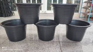 string(76) "15 นิ้ว แพ็คละ 5 ใบ กระถางสินค้าพร้อมส่ง 5 ชุด