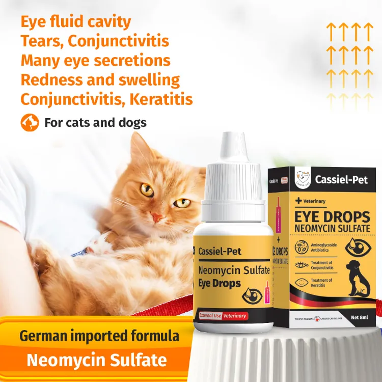 Cat Conjunctivitis Treatment Kitten Eye Drops Vetericyn Plus Pet