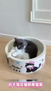 Extra Large Cat Scratching Board Cat Bed White Cardboard Multifunctional Cat Toy