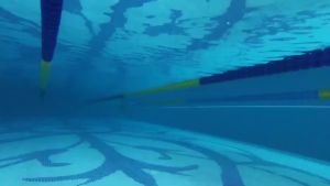 Quần bơi YINGFA FINA được phê duyệt cho nam chống clo quần bơi thi đấu cho bé trai quần bơi ngắn thi đấu đồ bơi tập luyện