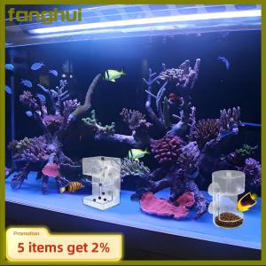 fanghui Fish Feeder For Aquarium 2025 New Fish Tank Dish Tray With Suction Cup Acrylic Fish Feeding Tube Fish Food Holder