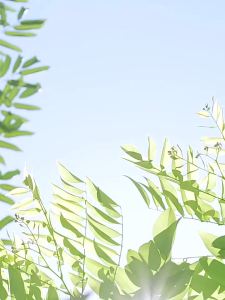 Cartoon 35ML Facial Humidifier Face Nano Mist Sprayer Make Up Skin Moisturizing Hydration Face Steamer USB