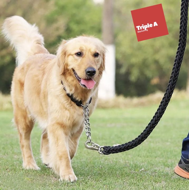 Long leash clearance for big dogs