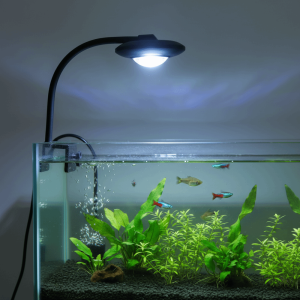 DGFDF Full Spectrum Fish Tank Clip Lamp Adjustable Brightness Color-changing Aquatic Plant Grow Light Practical Eye-friendly LED Aquarium Light Ornamental Fish
