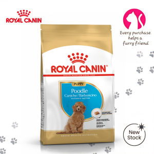 Royal Canin Poodle Puppy 500g Dry Dog Food - Breed Health Nutrition for Poodle Puppies Up to 10 Months Old | Supports Curly Woolly Coat Growth Digestive Health with Prebiotics & Strong Immune System Defenses [New Stock]