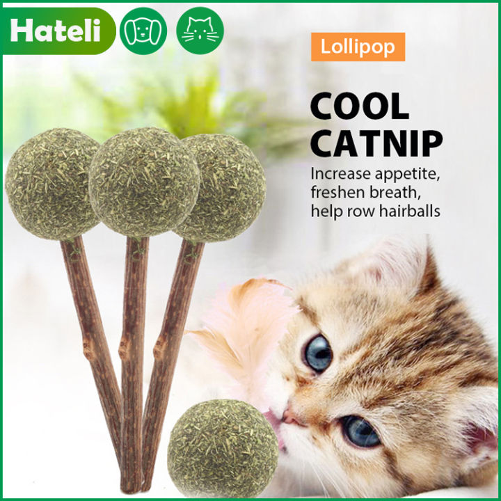 HATELI Cat Mint Lollipop Catnip Toy Natural Catnip Stick Ball For Cats ...