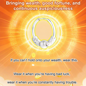 Earrings Durable Stylish and Sophisticated Earrings Jewelry Beautiful Unique Hearing Protection