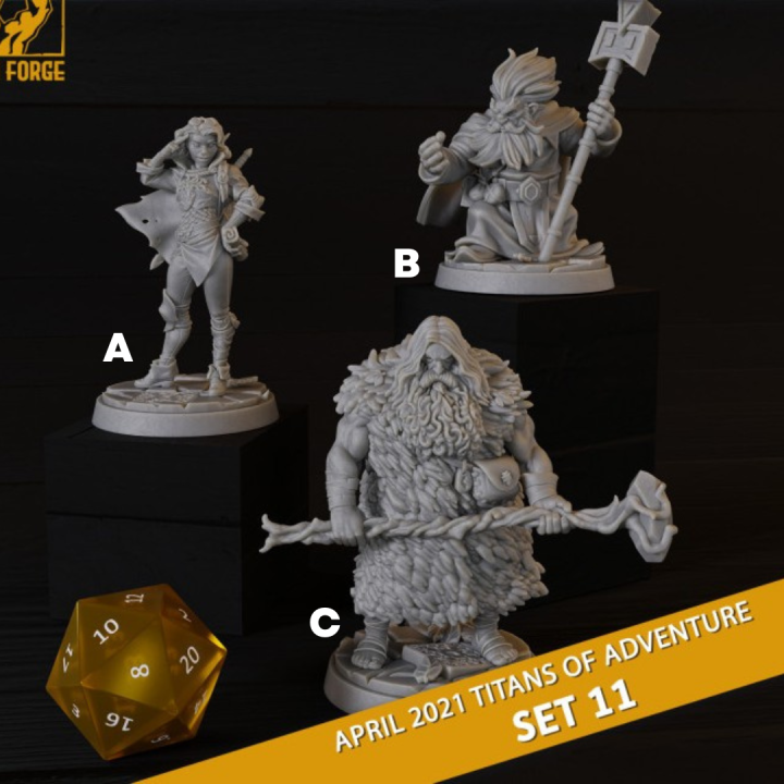 Titans Of Adventure Set 11 - Dwarf Mage, Human Druid and Human Fighter ...