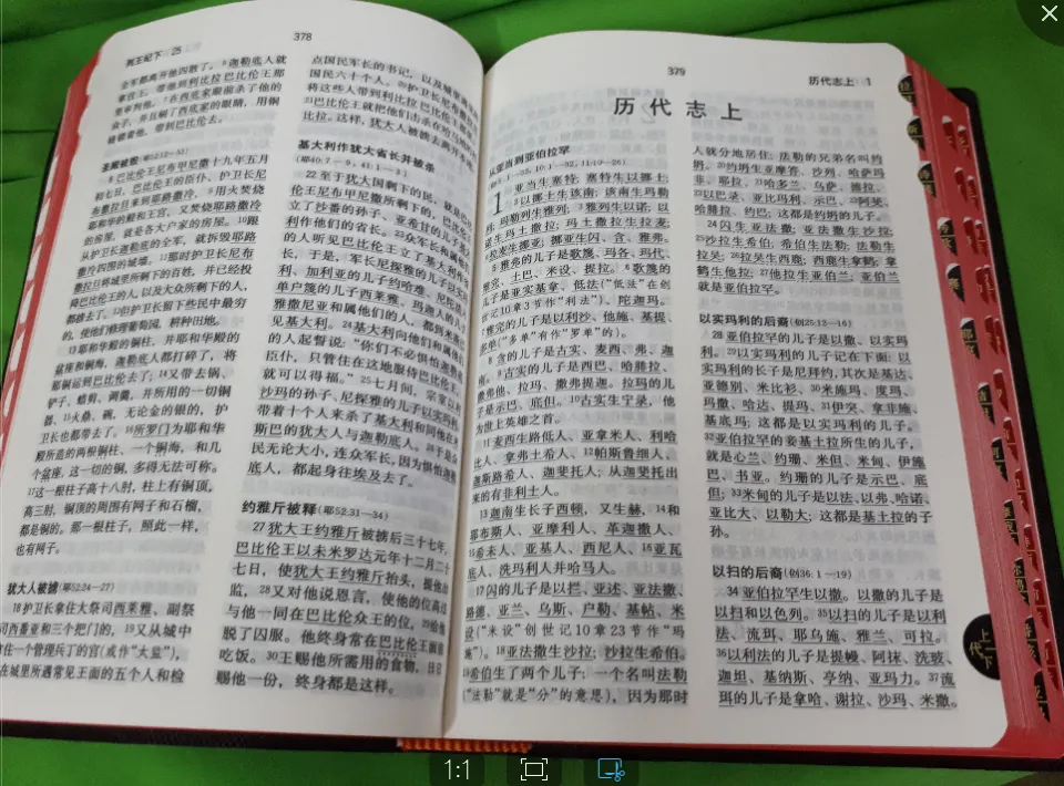 大きな取引 中国語聖書 簡体字 BIBLE】经济版圣经（中文和合本 