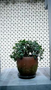 (SERI ALTHAFF AZZAM) Koko Couple Ayah Anak 1 Tahun