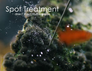 Algae-Burn kill algae aquarium fish tank plant treatment spray