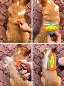 แปรงหวีขนสุนัข/หมา สำหรับพันธ์เล็ก กำจัดขนเสีย หวีถอนขนสำหรับสัตว์เลี้ยง