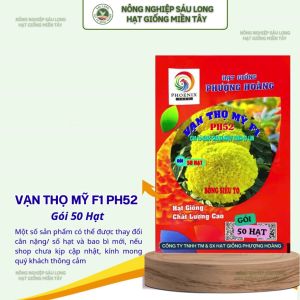 Gói 50 Hạt Vạn Thọ Mỹ F1 PH52 – Vàng Chanh Nhụy Xanh Cao 50–55cm