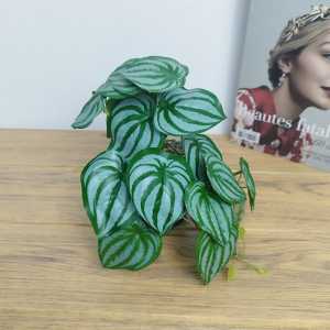 Azgalery PBP39 / Tanaman Hias Plastik Pot Bunga Pajangan Dekorasi Artificial Ruangan Rumah Daun Rambat Julur Keladi Umbi / COD