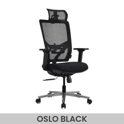 OSLO เก้าอี้เพื่อสุขภาพเออร์โกเทรน รุ่นออสโล