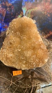 Bông hoa đá Thạch Anh vàng Citrine tự nhiên pha lê tinh thể quý hiếm năng lượng vũ trụ cực cao 723