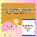 โคลีนบี วิตามินบี โคลีน บี Choline B vitamin วิตามินรวม อาหารเสริม ชา มือ เท้า เหน็บชา อาหารเสริม วิตามินB ไบทาร์เทรต (30เม็ด). 
