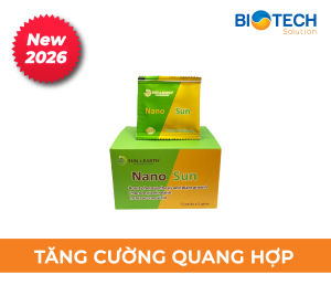 Nano Sun Vi sinh tăng cường quang hợp cho cây phân bón lá giúp cây khỏe ra đọt nhanh giúp cây phát triển toàn diện