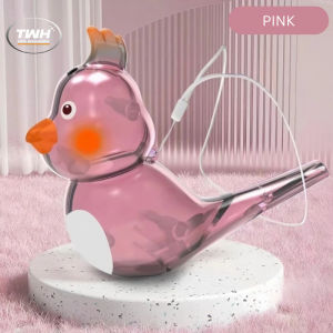 MAINAN PELUIT SUARA BURUNG WHISTLE BIRD DAPAT MEMBANTU TERAPI BICARA ANAK & KREATIFITAS PLUIT