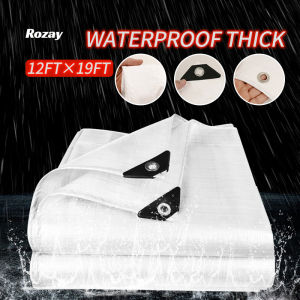 Outdoor Tolda 9FTx12FT(with holes) Sakolin Trapal Tarpaulin Waterproof Multi-Purpose Poly Tarp